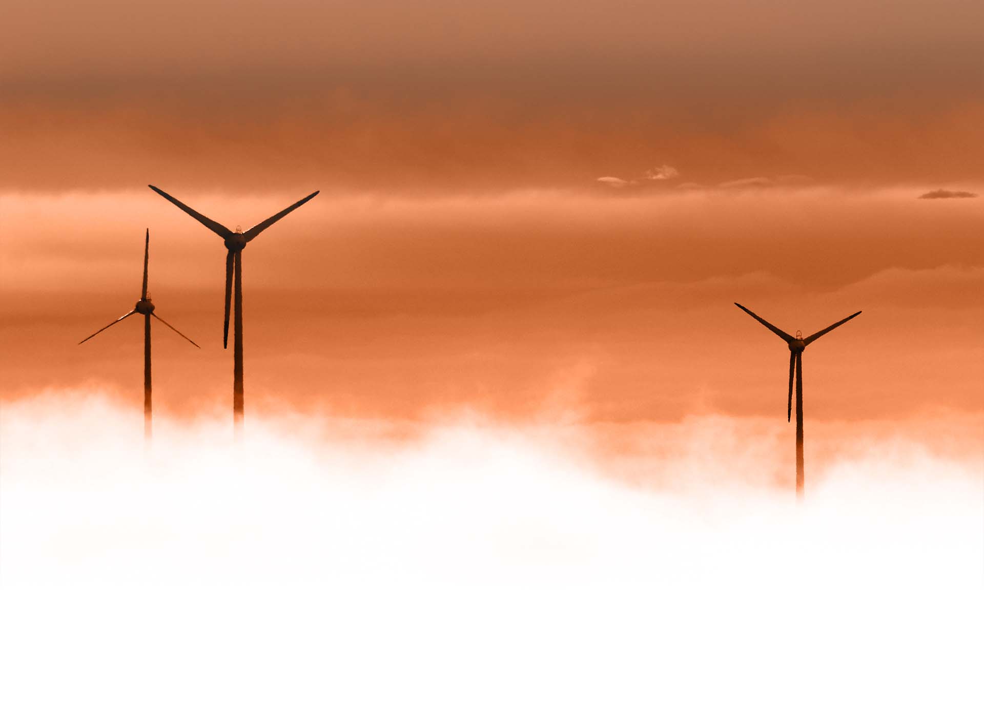 pexels-pixabay-33493v3