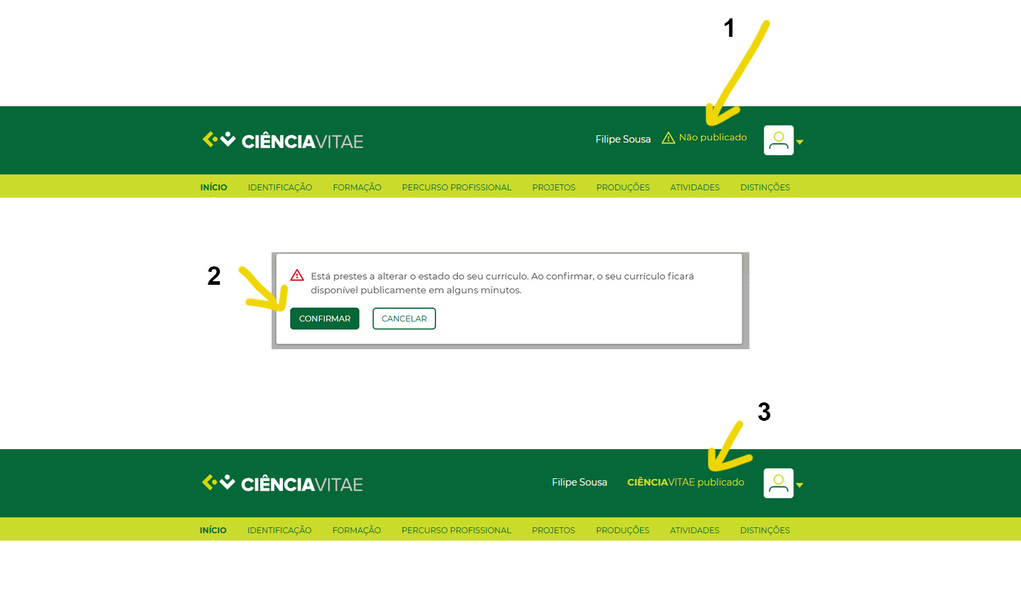 CienciaVitaeInstrucoes