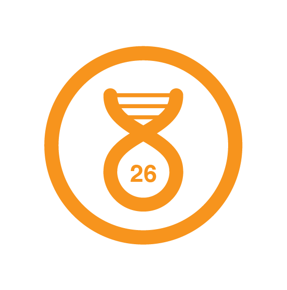 ERM-Evolutionary Computation-2026_14